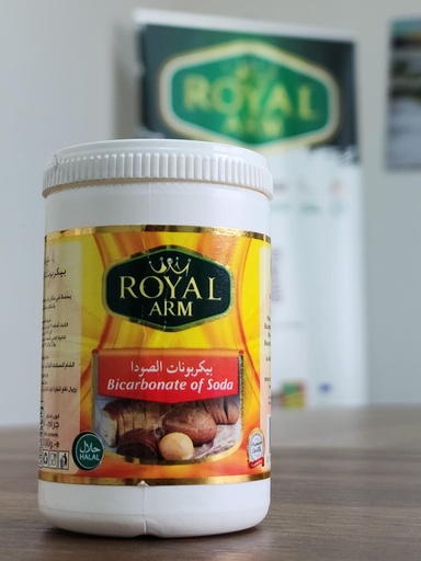 BICARBONATE SODA 48X100 GM